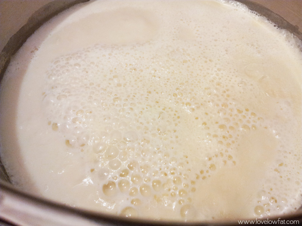 lovelowfat-soy-yogurt-pan-boiling-milk