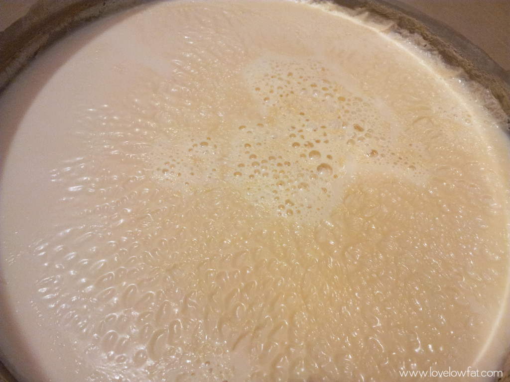 lovelowfat-soy-yogurt-pan-boiling-milk-SKIN