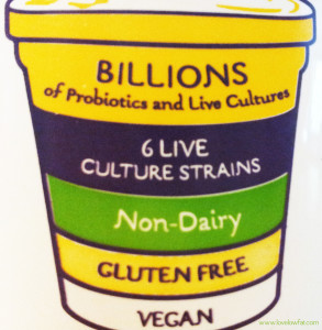 lovelowfat-soy-yogurt-container-pic